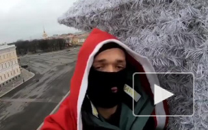 На главную елку Петербурга забрались руферы