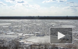 Ледоход на Северной Двине наблюдается в Котласском районе, в Архангельске начнется на следующей неделе