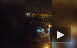 Видео: на Воскресенской набережной из-за ветра упала ёлка 