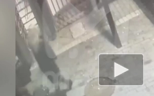 В Москве пьяный мужчина избил полицейского на концерте "Пикника"