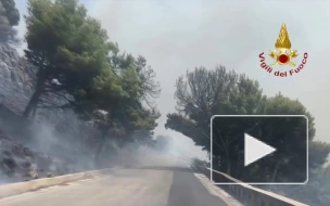 В пожарах на Сицилии погибли минимум три человека
