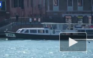 Заплывшие в каналы Венеции дельфины попали на видео