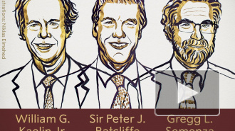 Нобелевская премия по медицине отдана за изучение живых клеток и их реакции на кислород