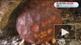 У береговой линии в Японии обнаружили второй шар диаметр...
