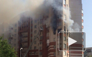 В жилом доме на проспекте Просвещения горит квартира. Очевидцы опубликовали фото пожара