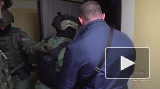 В Петербурге полицейские задержали мошенников, продающих несуществующие морские контейнеры
