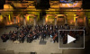 Лабрадор удостоился бурных оваций на концерте симфонического оркестра