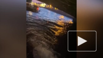 Петербуржец повис на балке моста и упал в воду во время вечерней прогулки на теплоходе
