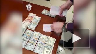 В Петербурге сотрудницу таможни подозревают в ущербе РФ на 35,8 млн рублей