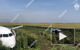 В Москве завели уголовное дело по факту экстренной посадки самолета