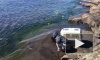Видео: окрепшего нерпенка Крошика выпустили в воды Ладожского озера
