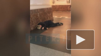 Молодой человек потерял сознание после драки на станции "Маяковская"