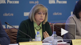 Памфилова объяснила "пакетное" голосование по поправкам в Конституцию