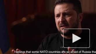 Зеленский: некоторые страны НАТО так боятся Россию, что не хотят видеть Украину в альянсе