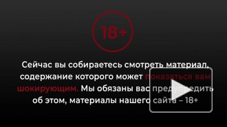 Видео: в массовой аварии пострадал человек на КАД у Колтушского шоссе