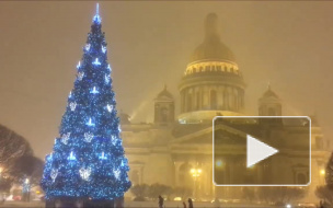 Метель в Петербурге: город стоит в аномальных пробках, "Пулково" не принимает самолеты