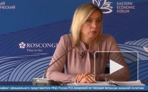 Захарова прокомментировала инцидент с обломками БПЛА в Румынии
