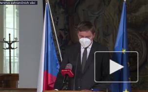 Глава МИД Чехии объявил об отставке