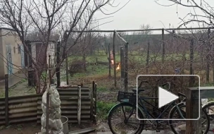 Пьяный житель Херсонской области едва не загорелся, пытаясь сжечь триколор