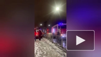 BMW столкнулся с автобусом и разбил дверь магазина в Петроградском районе