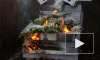В Петербурге сожгли 68 тысяч опасных цветов из Европы