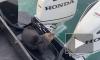 Опубликовано видео, как выдра спасается от косатки в лодке с людьми