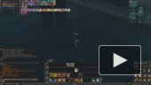 bug