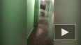 Видео: в Металлострое затопило этаж из-за прорыва ...