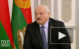 Лукашенко заявил, что Белоруссия готова помочь Африке технологиями