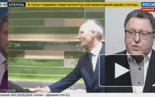 Гаврилов: Нуланд прибыла в Киев для оценки ситуации с конфликтом Зеленского и Залужного