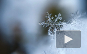 Снег и дождь обещают синоптики в выходные дни в Петербурге