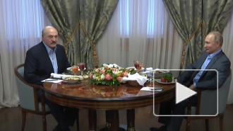 Путин дал оценку переговорам с Лукашенко
