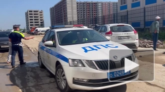 Во Всеволожском районе полиция провела очередной рейд по таксистам