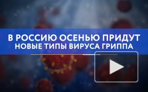 В Россию осенью придут новые типы вируса гриппа