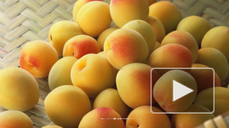 Врач рассказала, чем опасны абрикосы