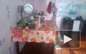 Видео землетрясения в Таджикистане появилось в Сети