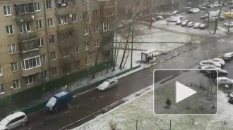 Синоптики: новая неделя в Петербурге не станет теплее прошлой