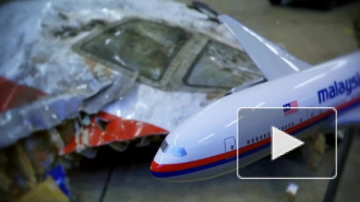 Детектив Реш получил ответ от Нидерландов по делу МН17 через прессу