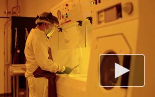 Woke Studio представила робота-хирурга для имплантации чипа Neuralink