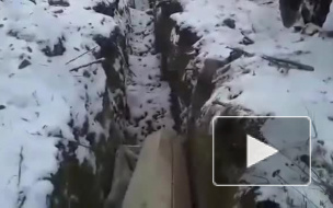 Мэрия Кемерово: в траншею скидывали гробы с плесенью и частями человеческих тел