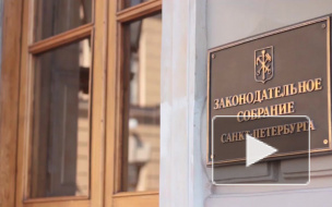 Депутат ЗакСа пожаловалась на главу Центрального района из-за публикаций в СМИ