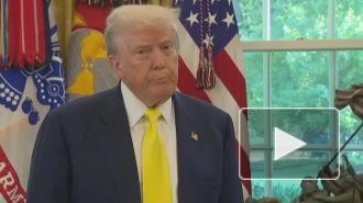 Трамп готов встретиться с Путиным, даже если тот не намерен встречаться с Зеленским