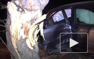 В Новосибирске на Пасху пьяный студент на угнанной иномарке врезался в Крестный ход, задавив двух полицейских