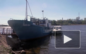 Школьница из Петербурга сбежала от матери к отцу в Карелию