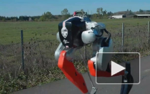 Двуногий робот Кэсси завершил забег на 5 км на одном заряде