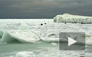 Замерзшее Черное море поражает фантастической красотой