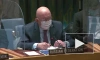 Небензя покинул заседание СБ ООН для встречи с генсеком ООН