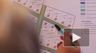 Страсти в Сиверском: общий лес станет частным?