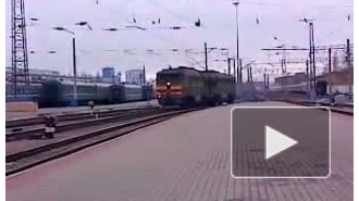 В Воронеже проводится проверка по факту столкновения поездов