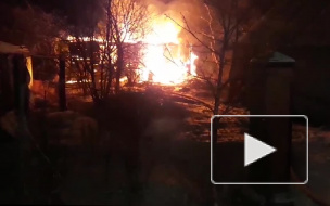 Все происшествия Петербурга за 31 января: фото и видео  